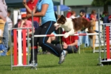 Cyanda
KC Delft 13 juni 2009